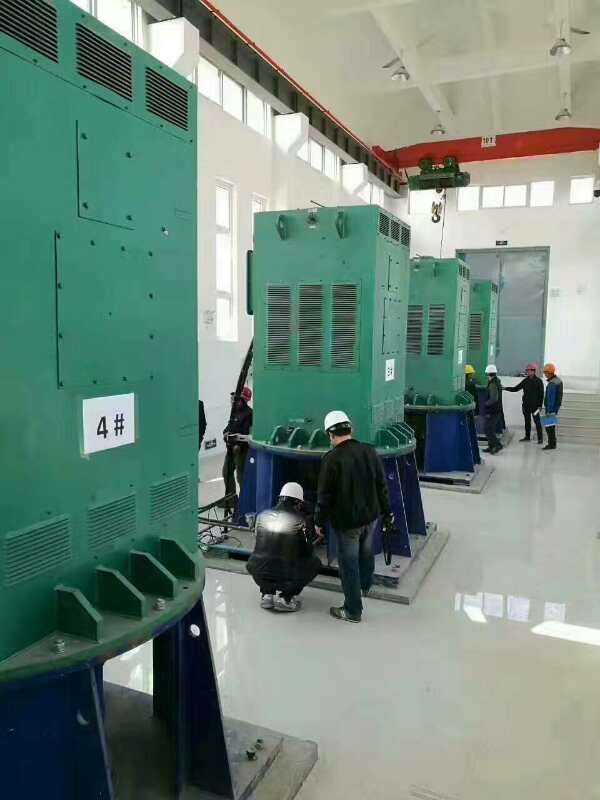 YJTFKK3552-2/250KW某污水处理厂使用我厂的立式高压电机安装现场