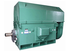 YJTFKK3552-2/250KWY系列6KV高压电机